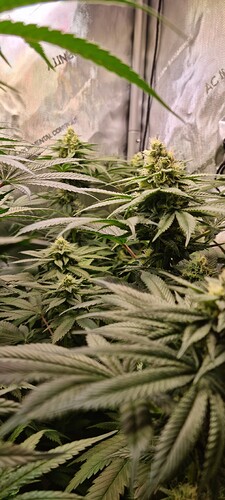 Growreport Bild 15