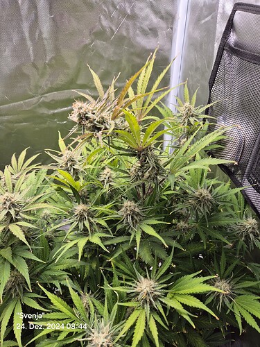 Growreport Bild 8