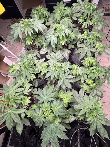 Growreport Bild 8