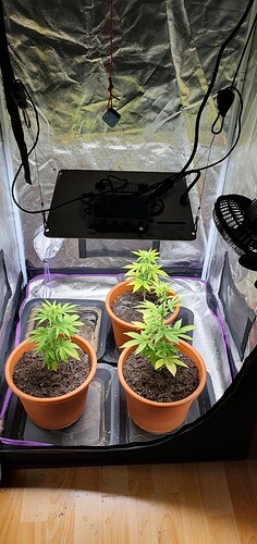 Growreport Bild 3