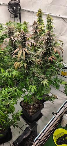 Growreport Bild 26