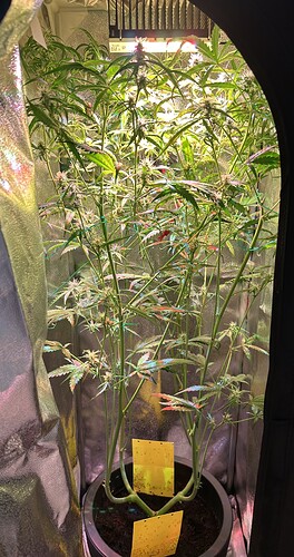 Growreport Bild 1