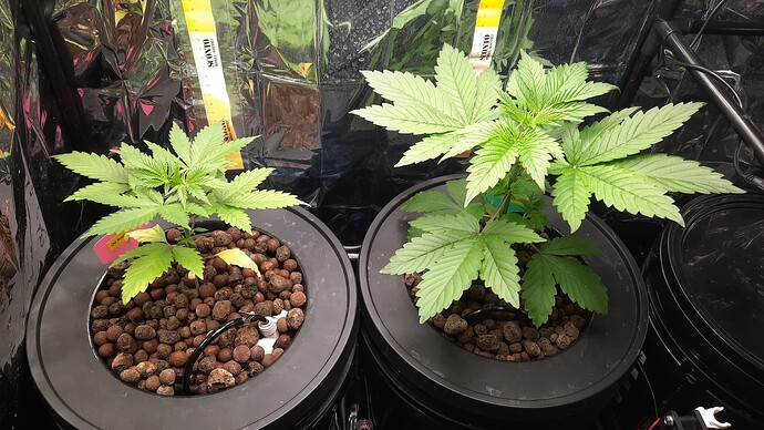 Growreport Bild 7