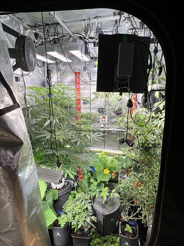 Growreport Bild 17