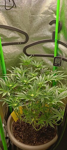 Growreport Bild 1