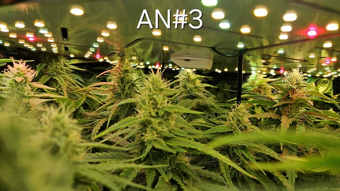 Growreport Bild 33