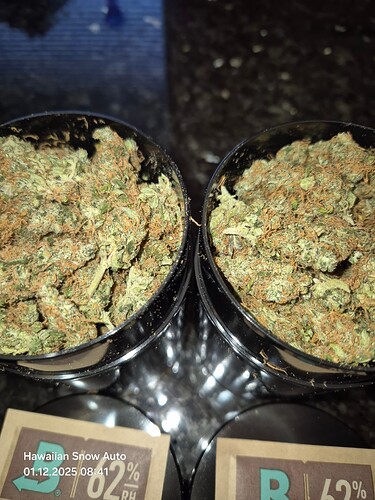 Growreport Bild 9