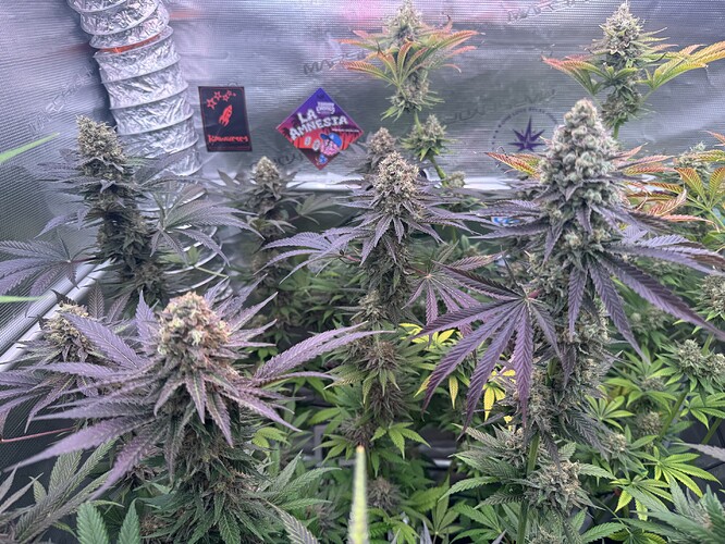 Growreport Bild 47