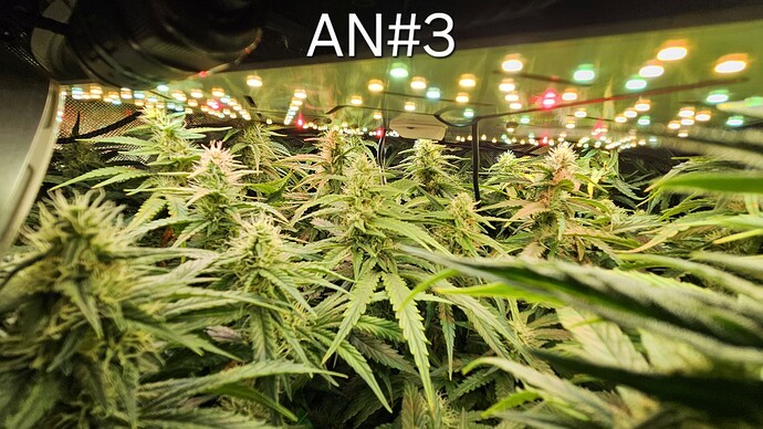 Growreport Bild 25