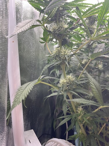 Growreport Bild 5