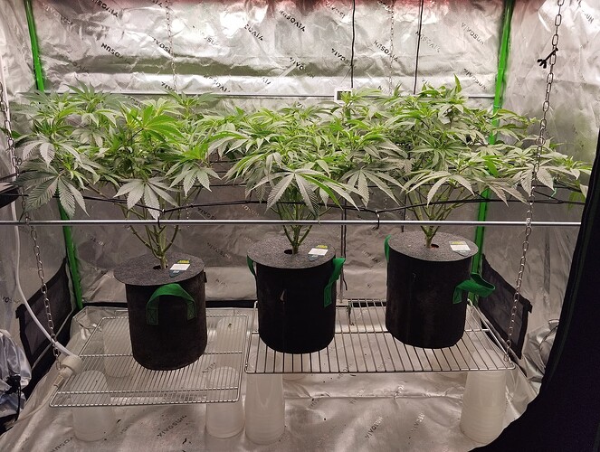 Growreport Bild 11