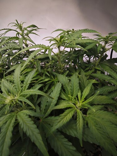 MVIMG_20251019_223256