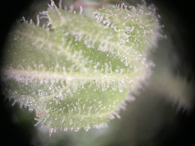 Growreport Bild 12