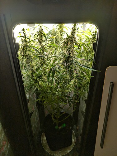 Growreport Bild 3