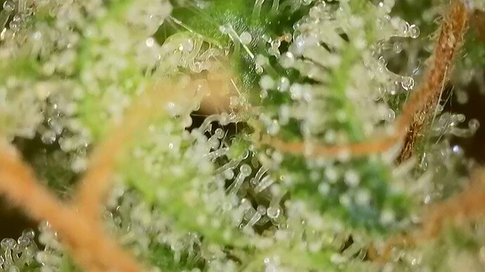 Growreport Bild 18