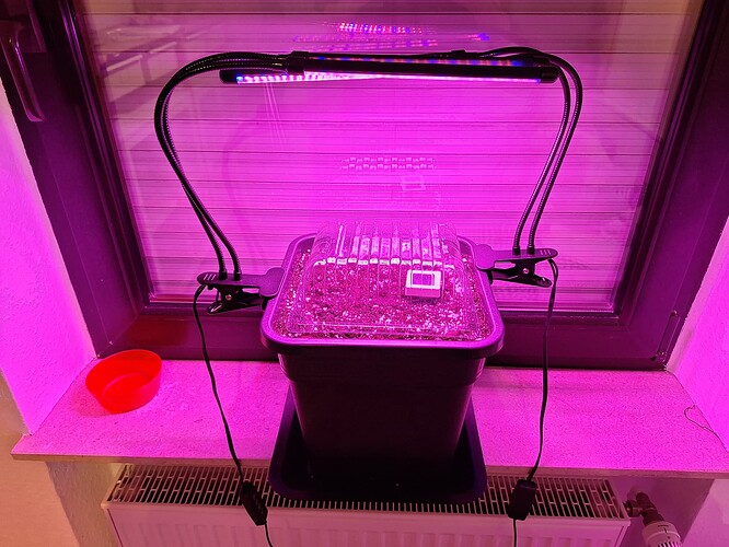 Growreport Bild 9