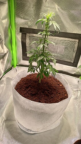 Growreport Bild 9