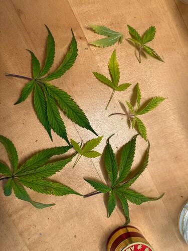 Growreport Bild 23