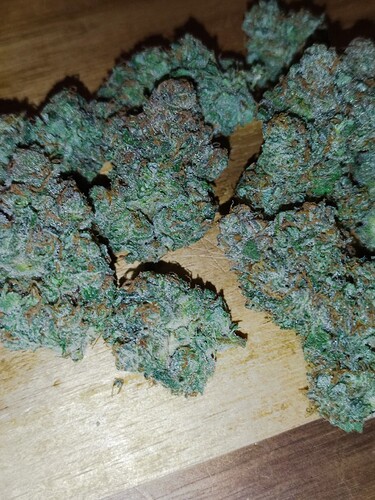 Mehrere kompakte, harzige und hellgrüne Cannabis-Buds liegen auf einer Holzoberfläche.