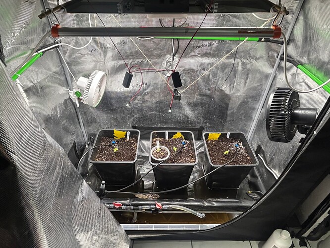 Growreport Bild 46