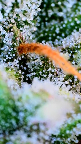 Growreport Bild 15