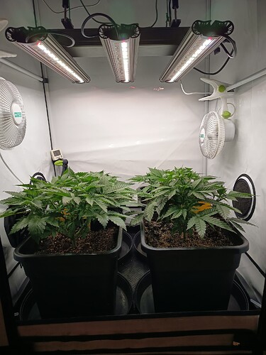 Growreport Bild 13