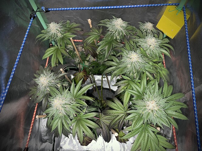 Growreport Bild 19