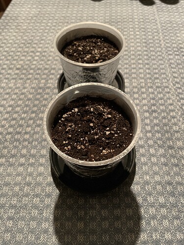 Growreport Bild 8