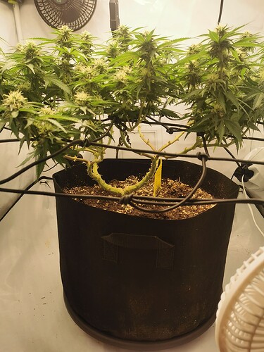 Growreport Bild 11