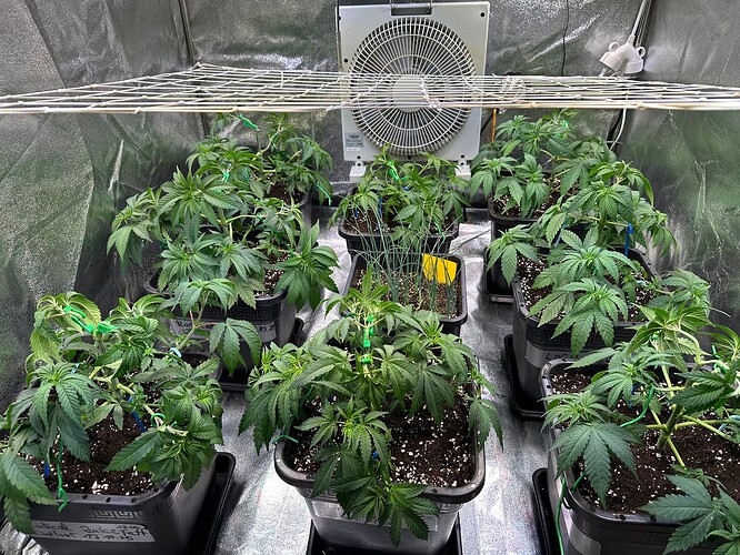 Growreport Bild 24