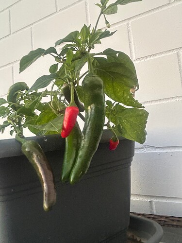 Growreport Bild 18