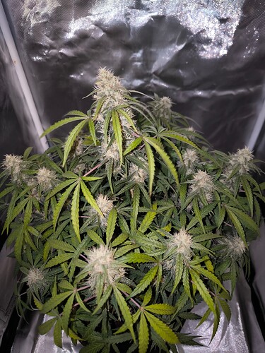 Growreport Bild 2