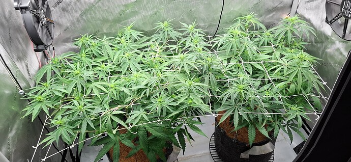Growreport Bild 9