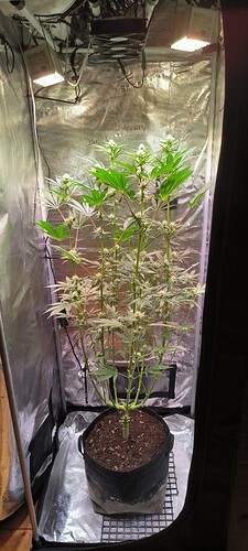 Growreport Bild 15