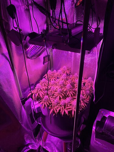 Growreport Bild 58
