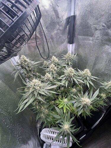 Growreport Bild 17