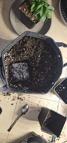 Growreport Bild 39