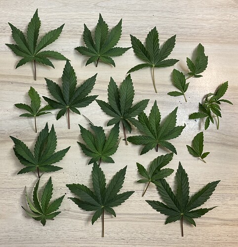 Growreport Bild 20