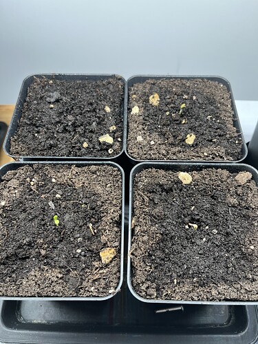 Growreport Bild 12