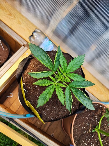 Growreport Bild 4