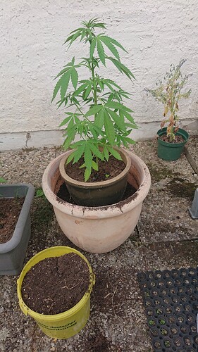 Growreport Bild 14