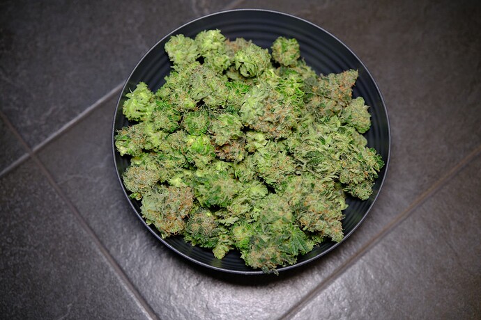 Growreport Bild 6