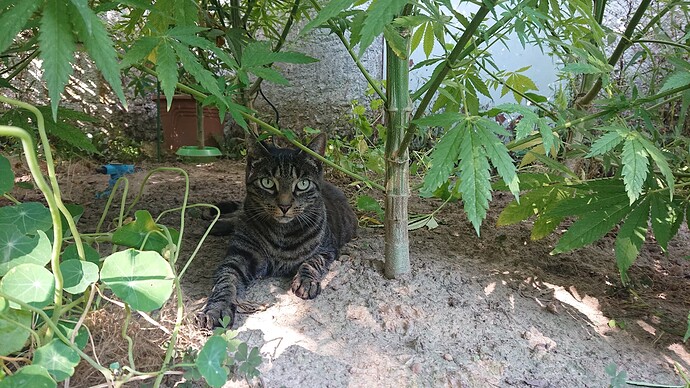 Growreport Bild 12