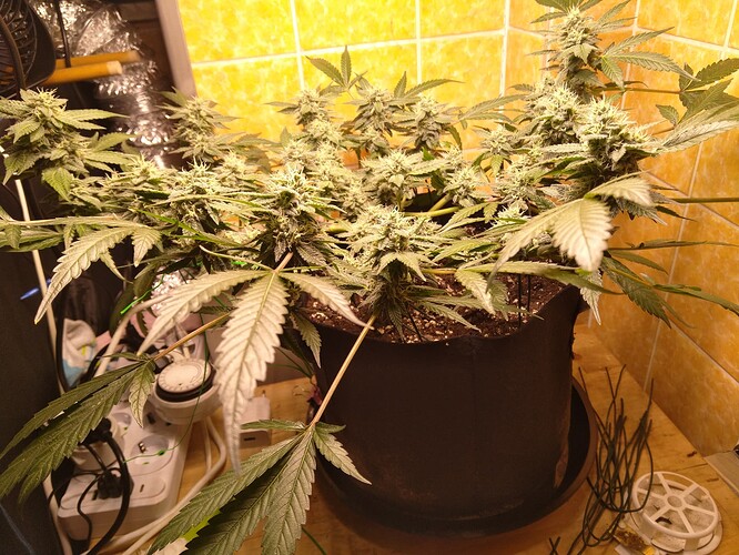 Growreport Bild 10