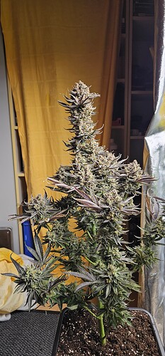 Growreport Bild 12