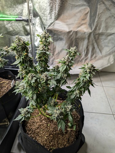 Growreport Bild 7