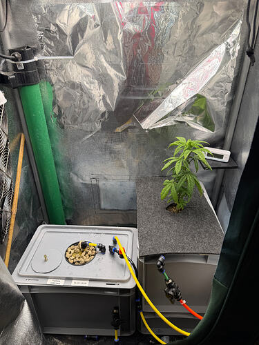 Growreport Bild 5