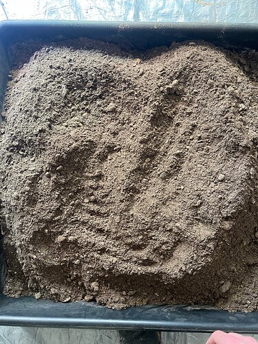 Growreport Bild 6