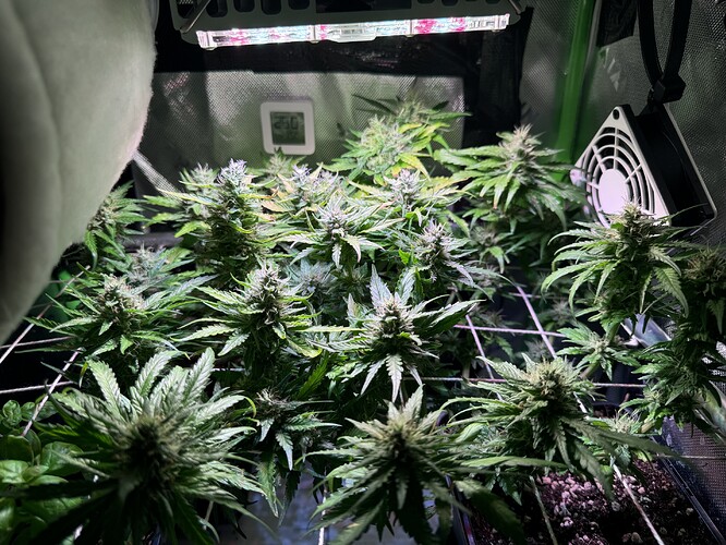 Growreport Bild 2