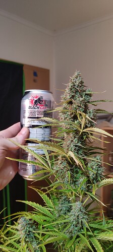 Growreport Bild 11